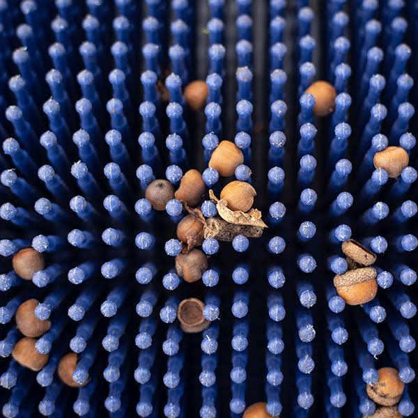 Bag-A-Nut Small Acorn Picker Upper – 36×22 Push Collector - Image 6