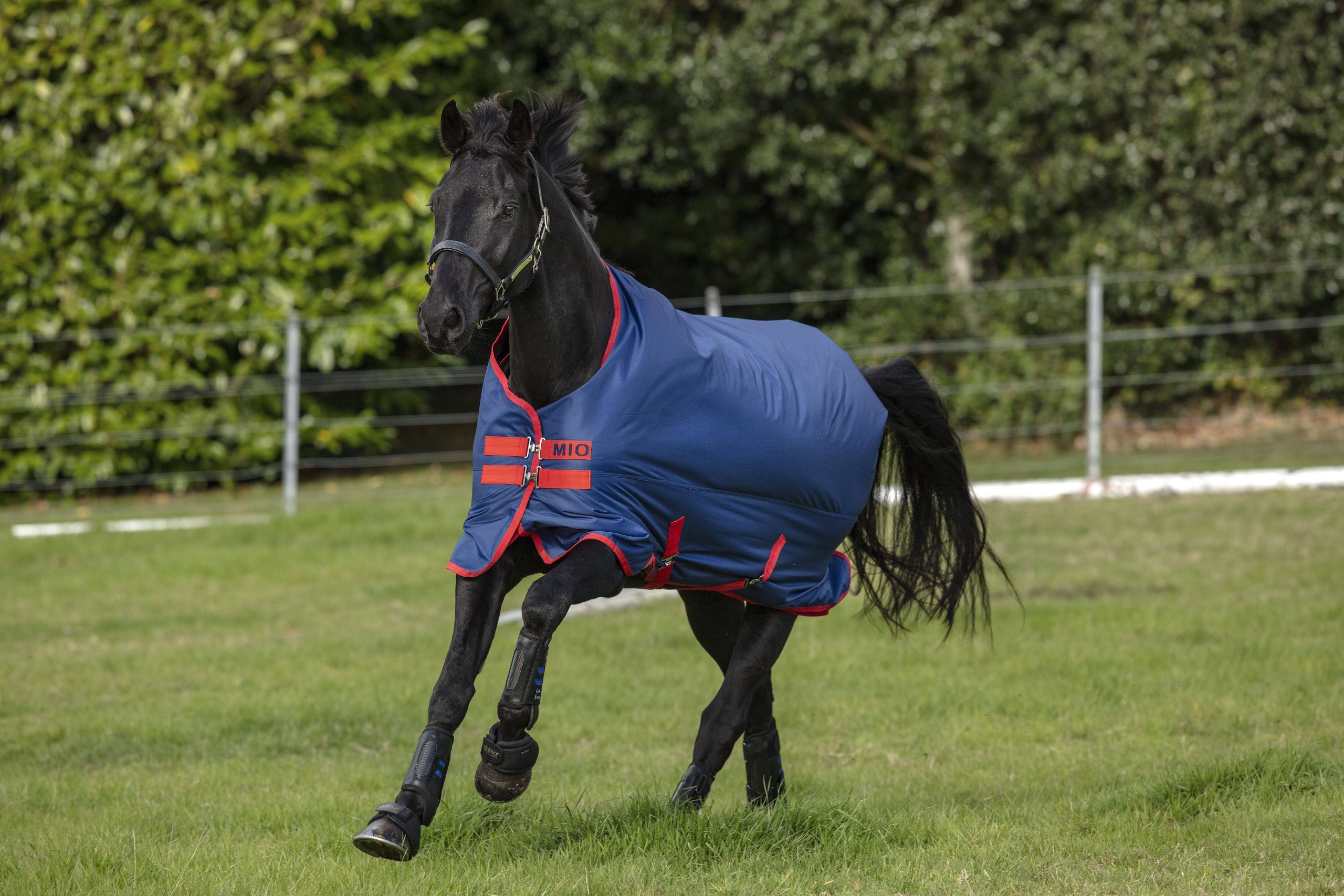 Mio Turnout Sheet Lite 81 Dark Blue/Aqua - Image 2