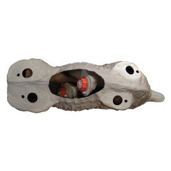 Alternative view of Flambeau Lone Howler Coyote Decoy
