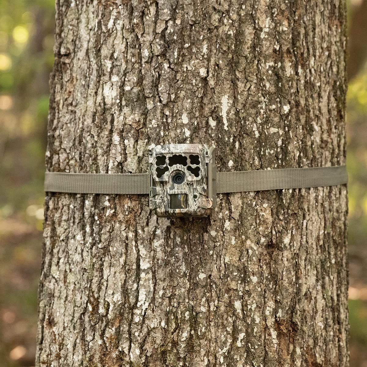 Moultrie Micro-42 Trail Camera Kit - Image 7