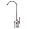 Watts Premier WP116091 Air-Gap, Top-Mount Faucet, Chrome