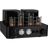 Dayton Audio HTA100BT Hybrid Stereo Tube Amplifier with Bluetooth USB AUX Phono in SUB Out 100W 2024 Best Sellers