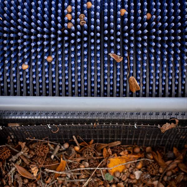 Bag-A-Nut Small Acorn Picker Upper – 36×22 Push Collector - Image 4
