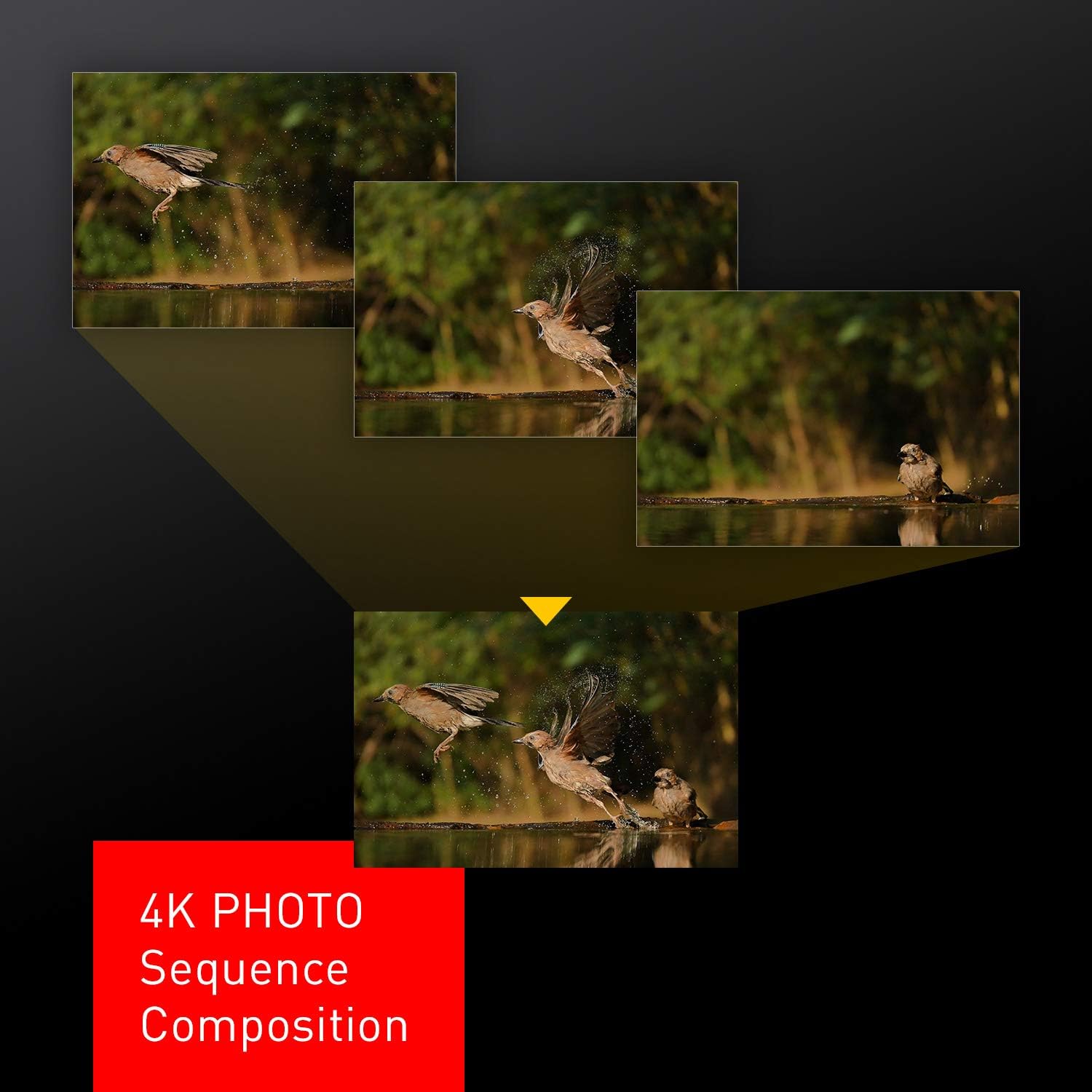 Panasonic Lumix LX100 II Large Four Thirds 21.7 MP Multi Aspect Sensor 24-75mm Leica DC VARIO-SUMMILUX F1.7-2.8 Lens Wi-Fi and Bluetooth Camera with 3 LCD, Black (DC-LX100M2) - Image 8