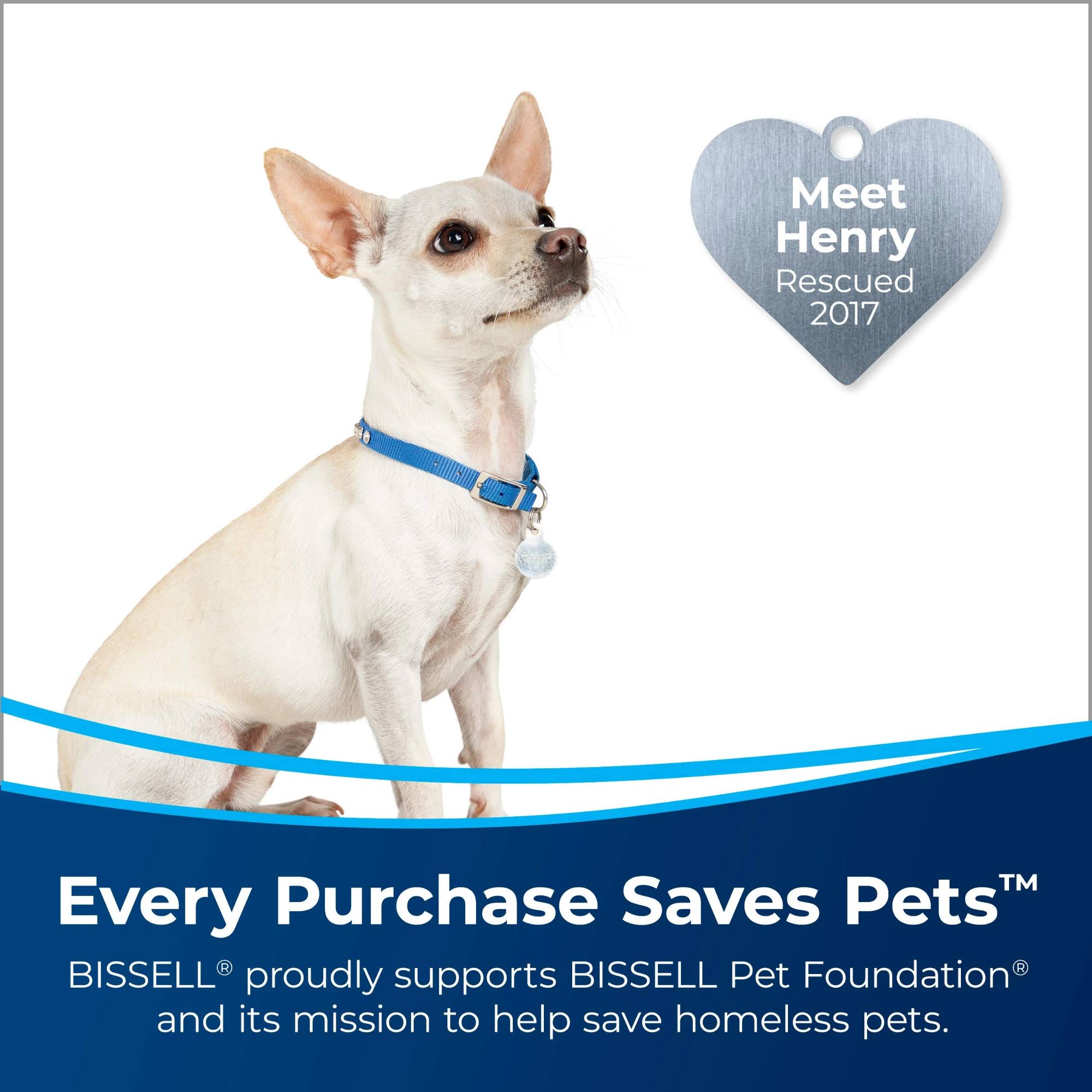 Bissell Pet Stain Eraser PowerBrush, 2837 - Image 3