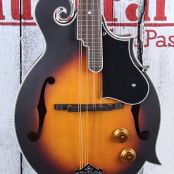 Washburn Mandolin Pack