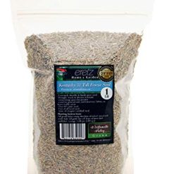 Alternative view of Kentucky 31 K31 Tall Fescue Grass Seed by Eretz – Choose Size! State Certified, No fillers, No Weed or Other Crop Seeds (3lbs)