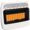 30,000 BTU Natural Gas / Propane Wall Heater for Indoor Use – Dual Fuel, Vent-Free