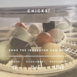 Alternative view of Manna Pro Harris Farms Nurture Right Incubator | Egg Incubator for Hatching Chicks | 360 Degree View